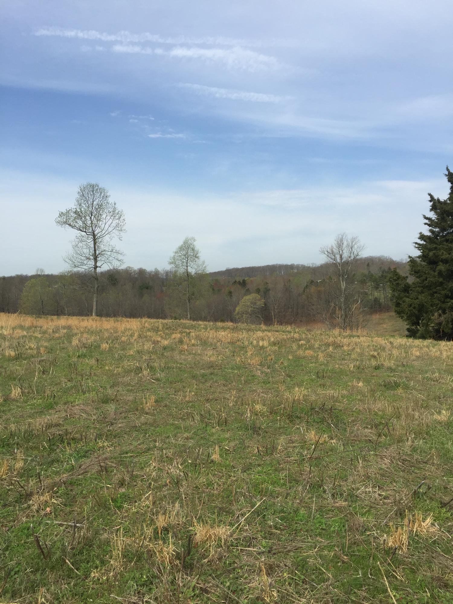 Erie Road Sweetwater, TN 37874 - Photo 11 of 29 IMG_3222