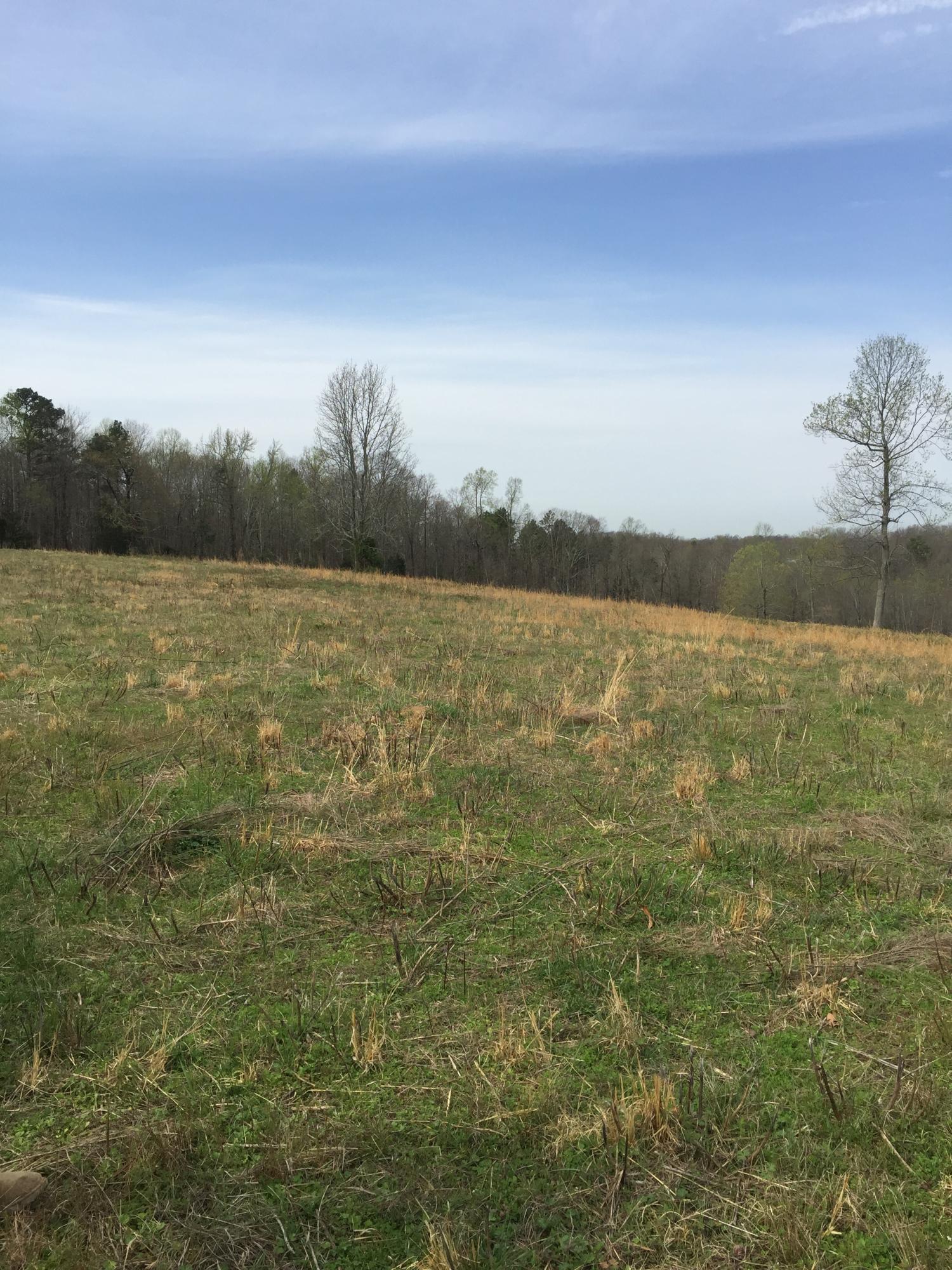 Erie Road Sweetwater, TN 37874 - Photo 12 of 29 IMG_3223