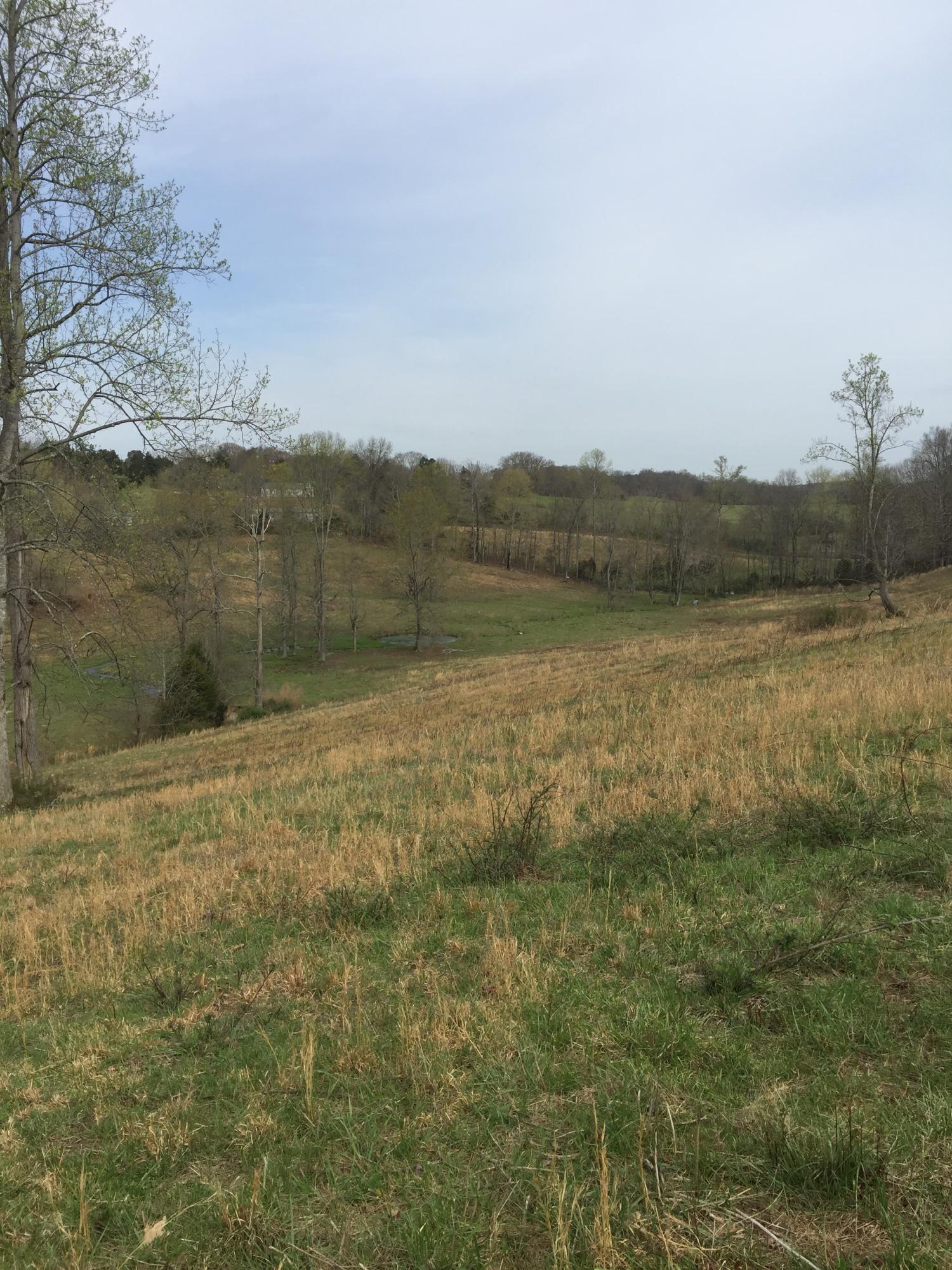 Erie Road Sweetwater, TN 37874 - Photo 13 of 29 IMG_3224