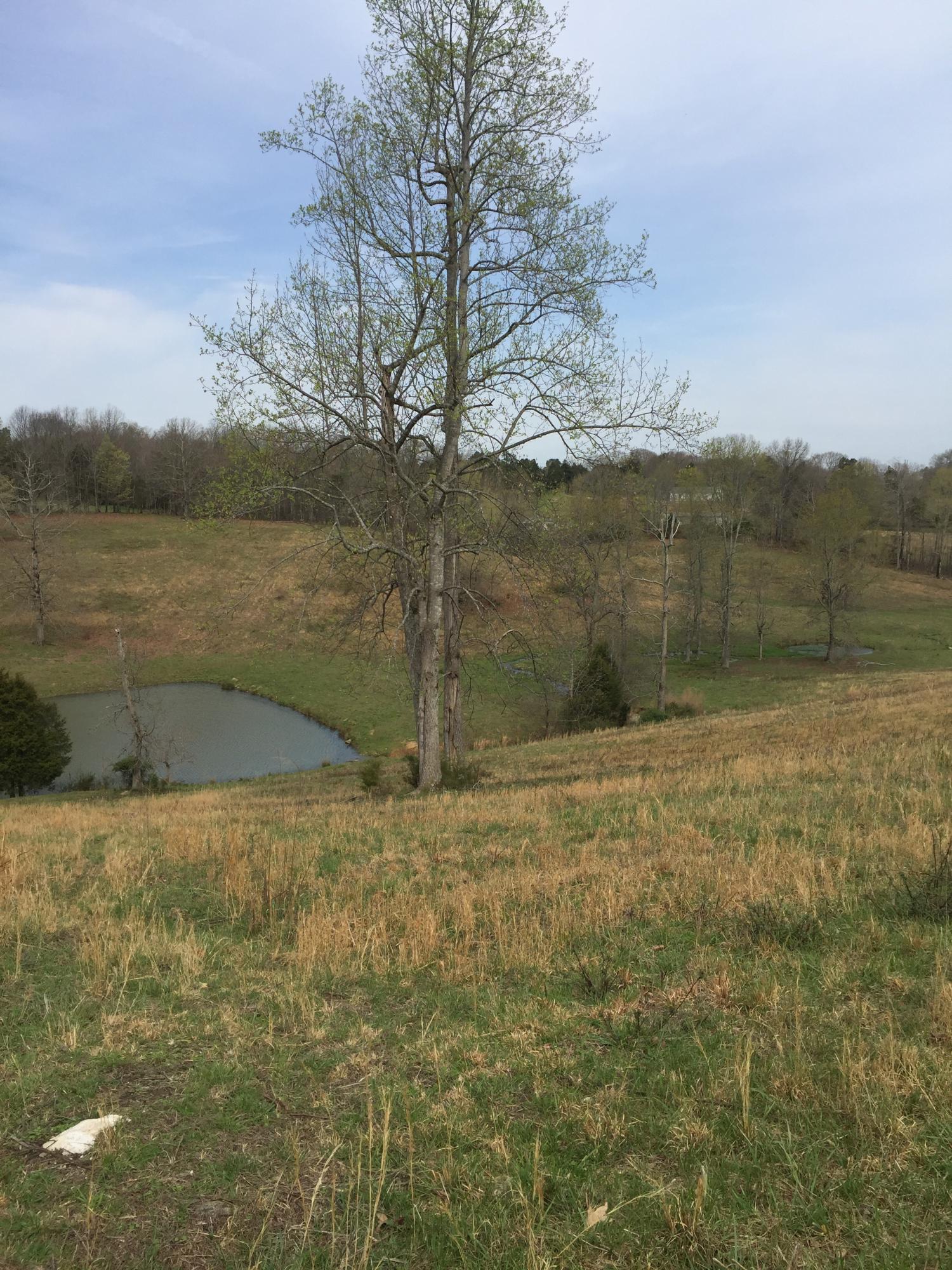 Erie Road Sweetwater, TN 37874 - Photo 14 of 29 IMG_3225