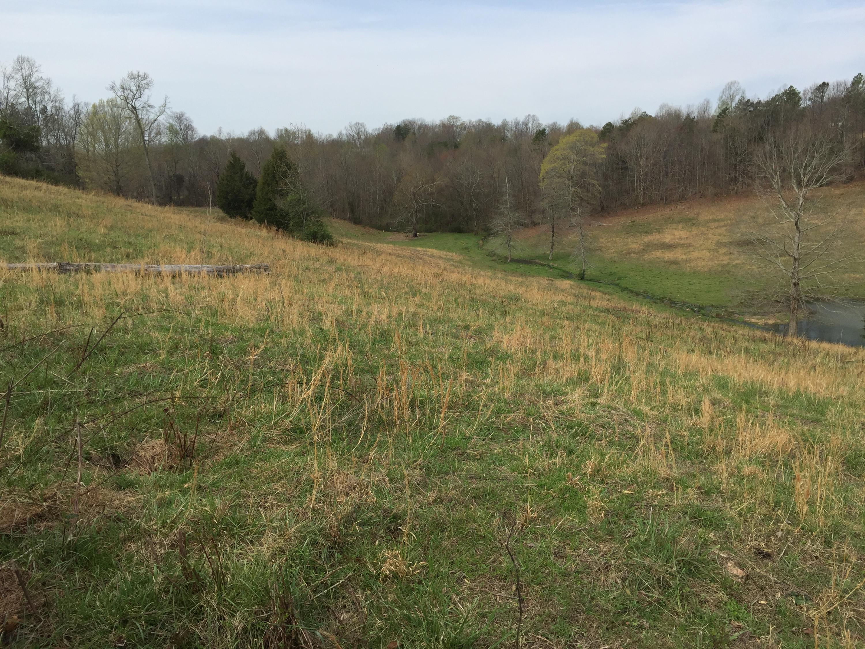 Erie Road Sweetwater, TN 37874 - Photo 15 of 29 IMG_3227