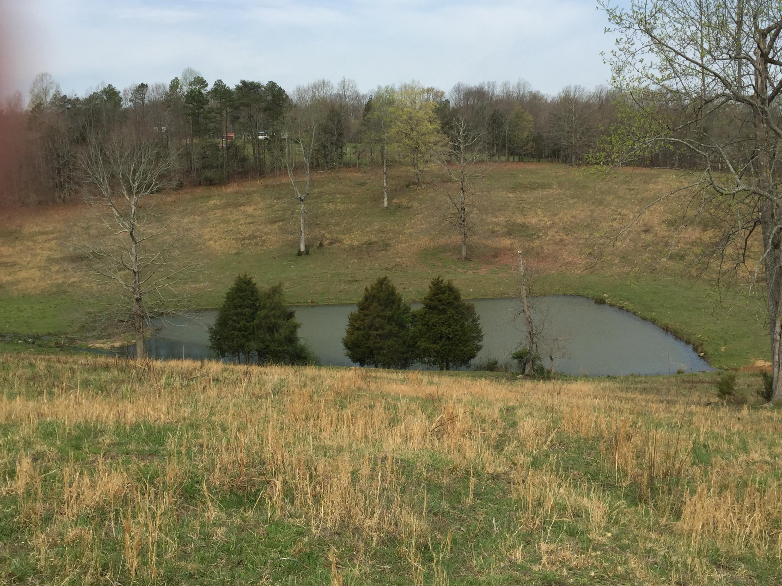 Erie Road Sweetwater, TN 37874 - Photo 16 of 29 IMG_3228