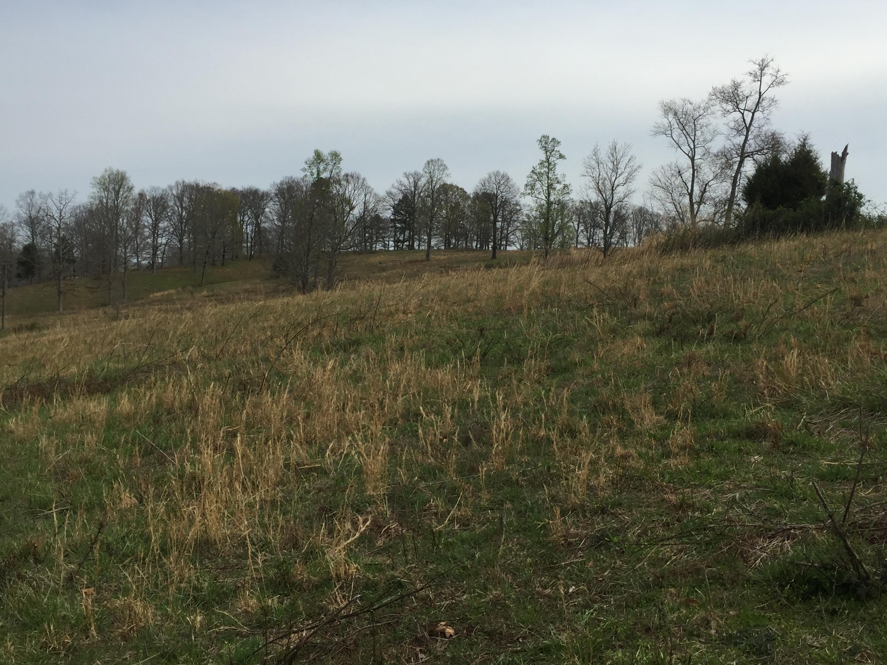 Erie Road Sweetwater, TN 37874 - Photo 17 of 29 IMG_3230