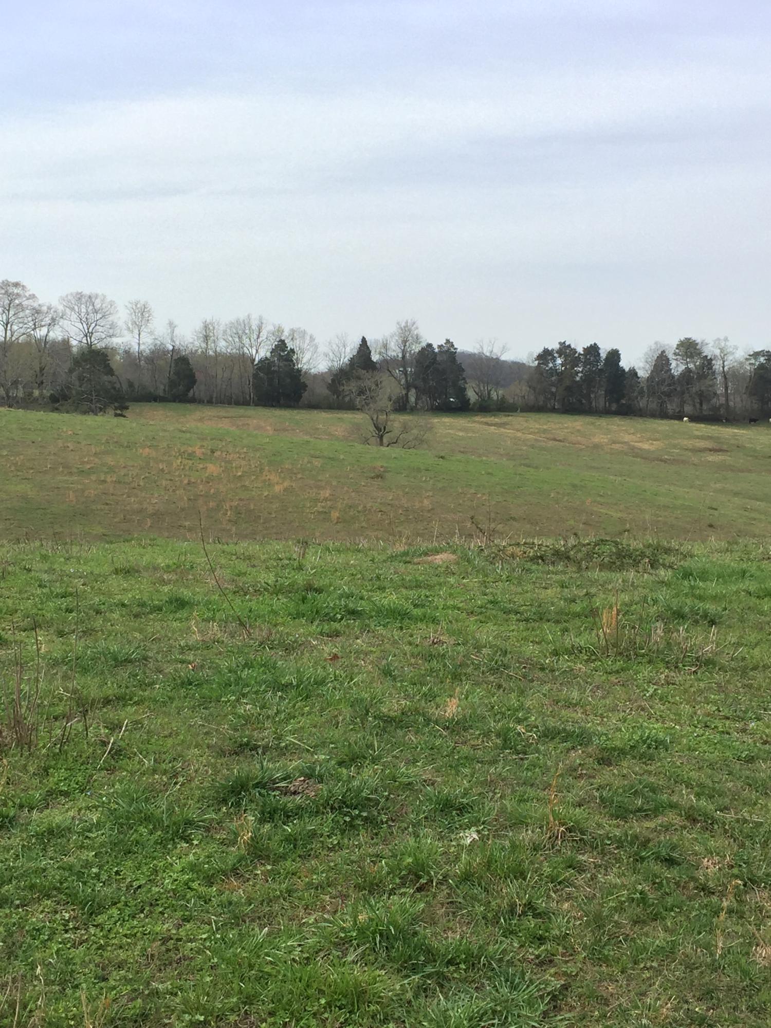 Erie Road Sweetwater, TN 37874 - Photo 20 of 29 IMG_3233