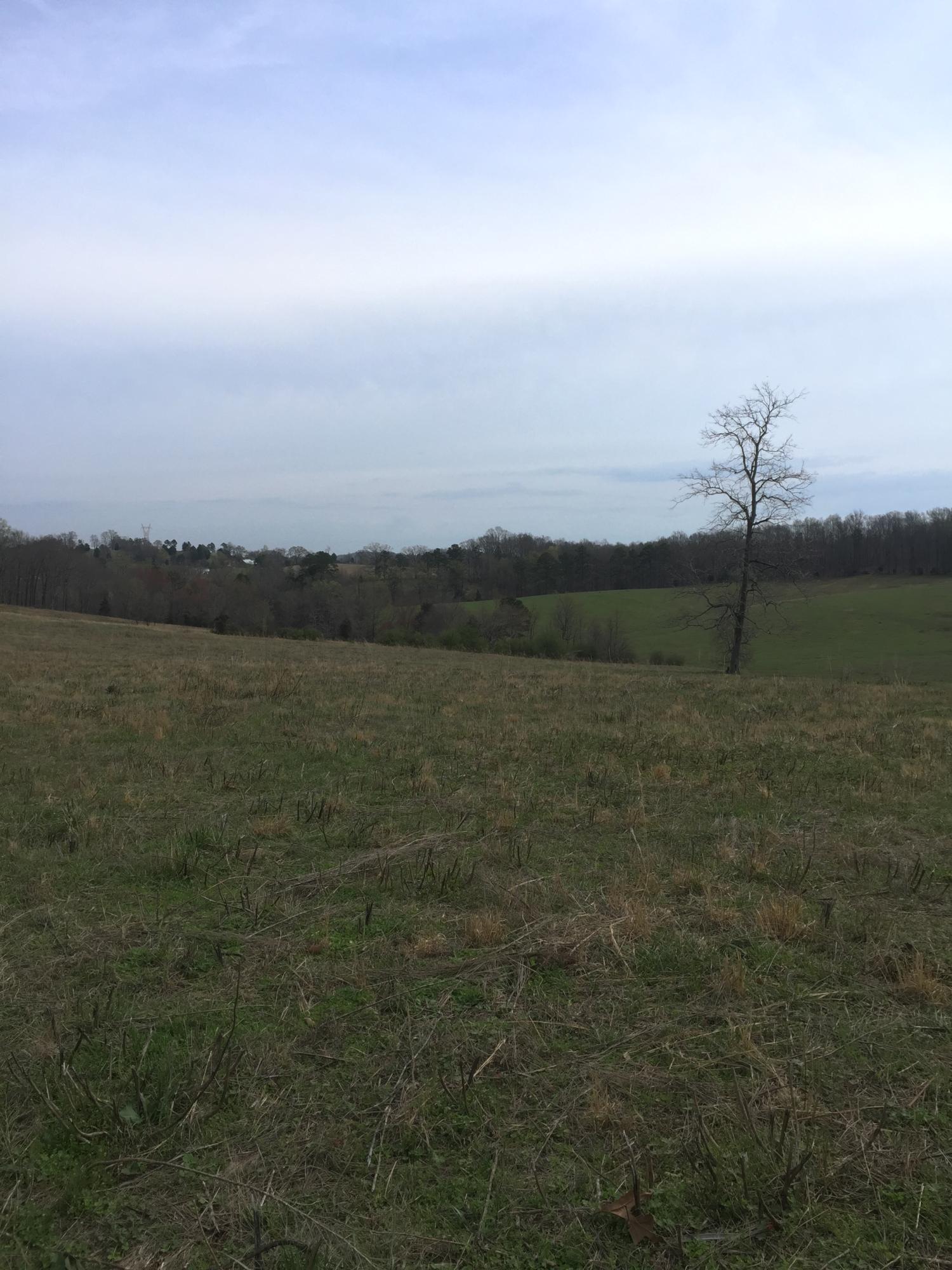 Erie Road Sweetwater, TN 37874 - Photo 3 of 29 IMG_3214