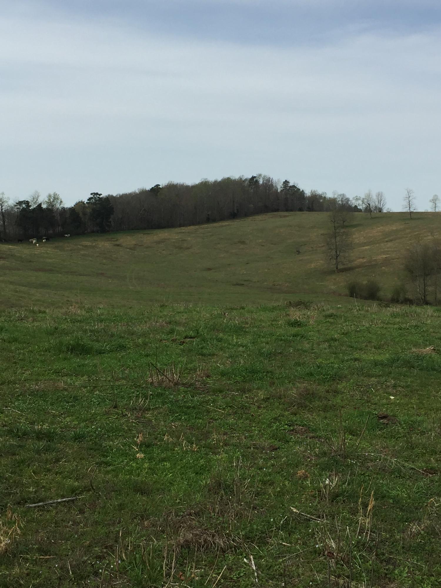 Erie Road Sweetwater, TN 37874 - Photo 21 of 29 IMG_3234