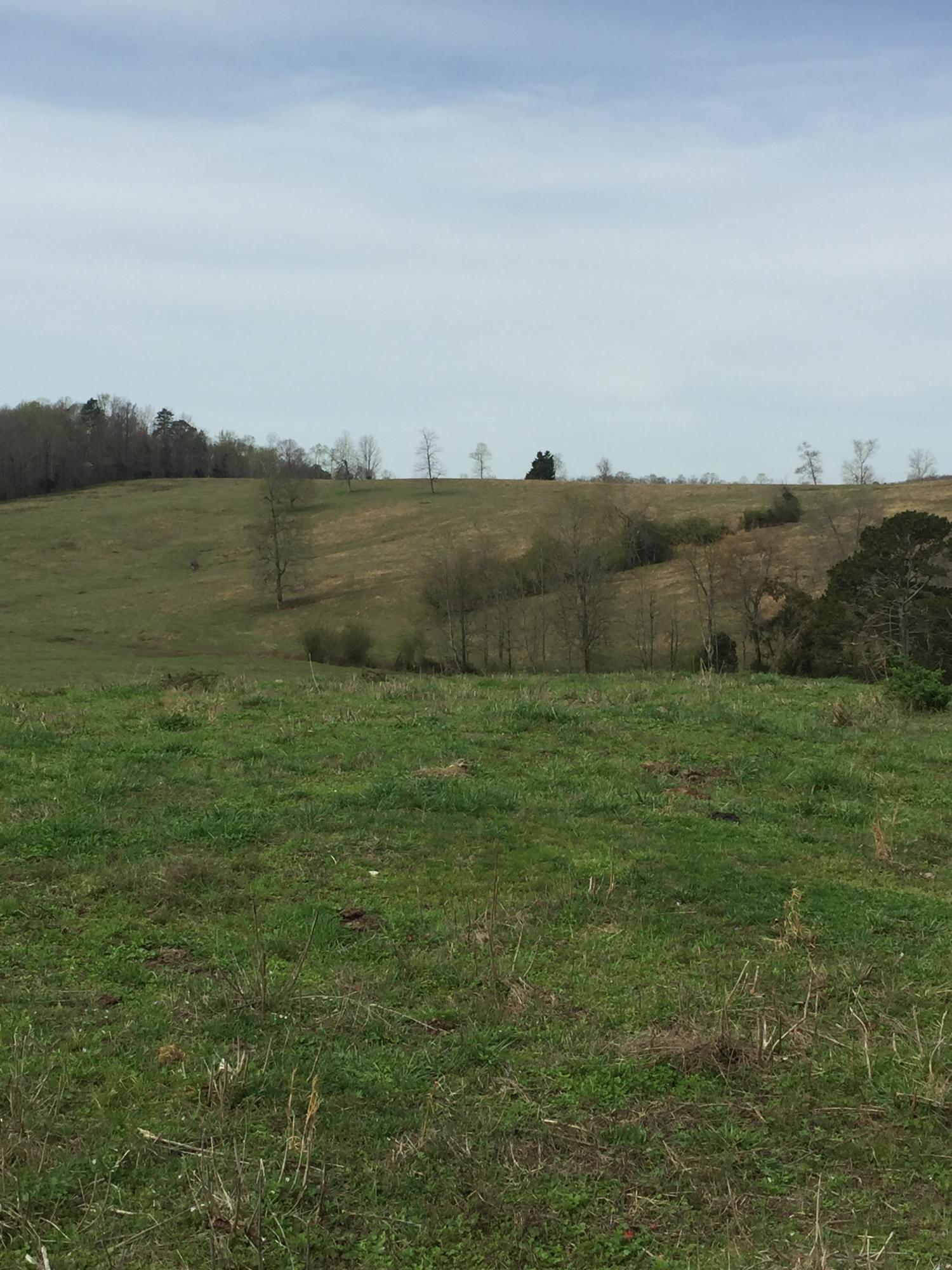 Erie Road Sweetwater, TN 37874 - Photo 22 of 29 IMG_3235