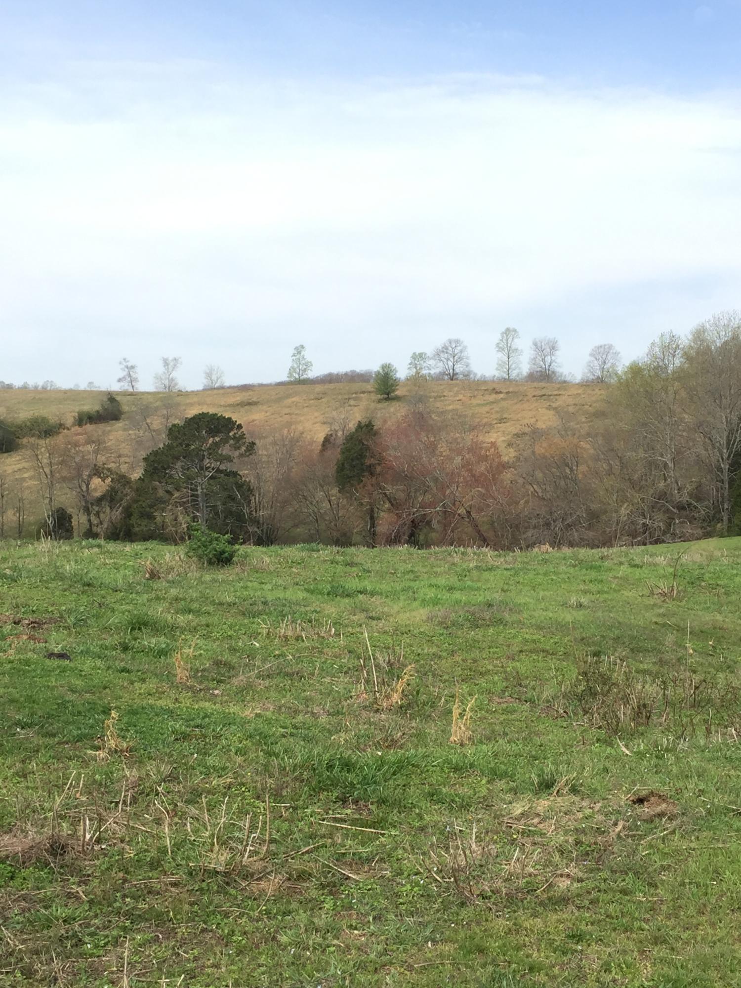 Erie Road Sweetwater, TN 37874 - Photo 23 of 29 IMG_3236