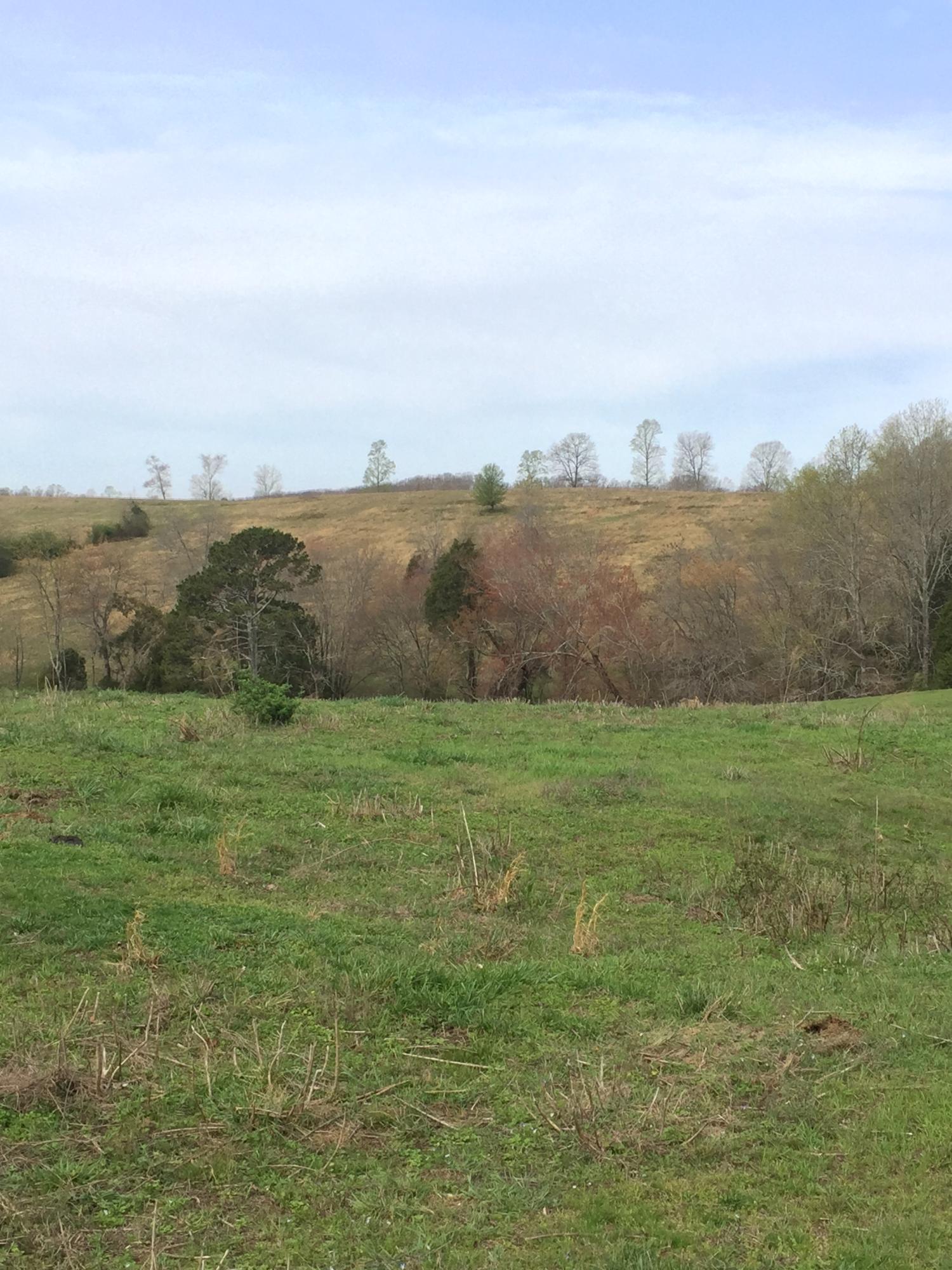 Erie Road Sweetwater, TN 37874 - Photo 24 of 29 IMG_3237