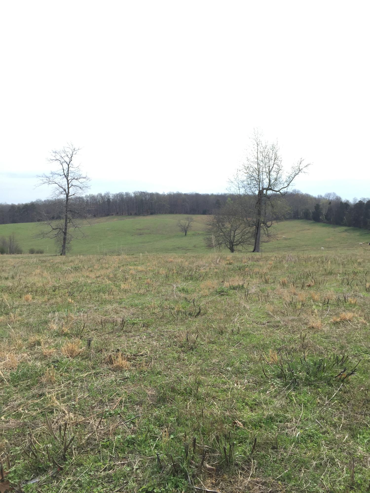 Erie Road Sweetwater, TN 37874 - Photo 4 of 29 IMG_3215