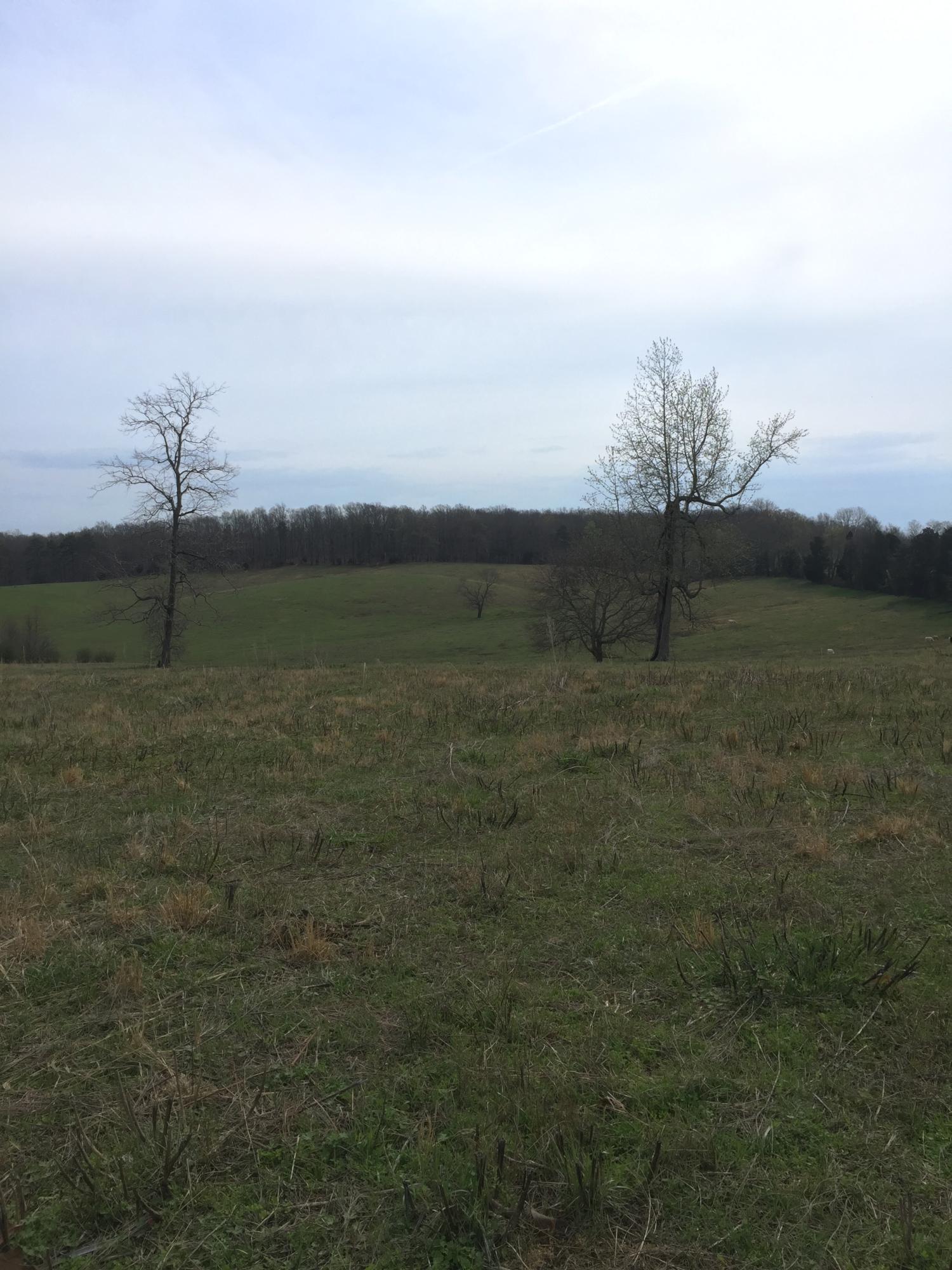 Erie Road Sweetwater, TN 37874 - Photo 5 of 29 IMG_3216