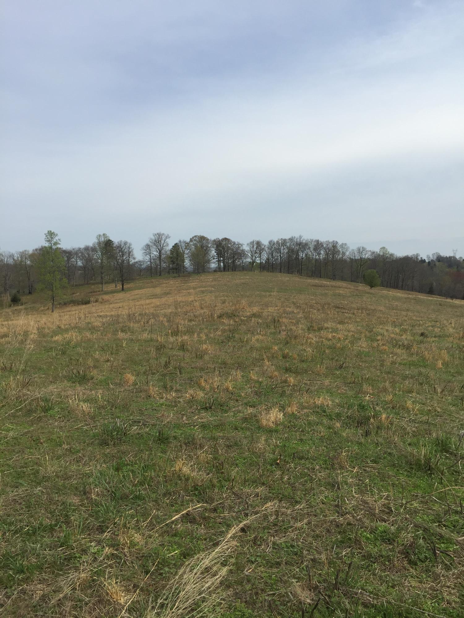 Erie Road Sweetwater, TN 37874 - Photo 8 of 29 IMG_3219
