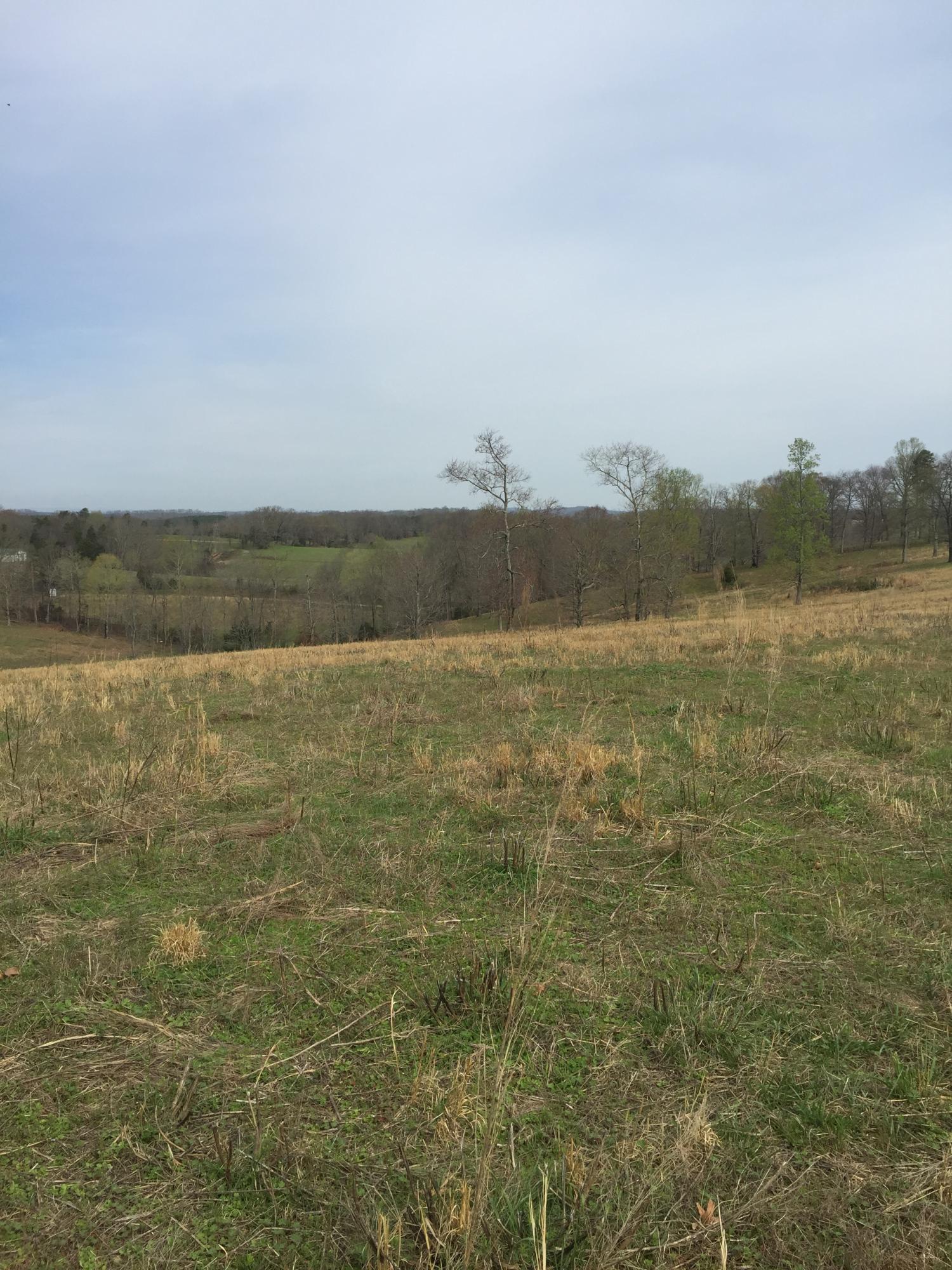 Erie Road Sweetwater, TN 37874 - Photo 9 of 29 IMG_3220