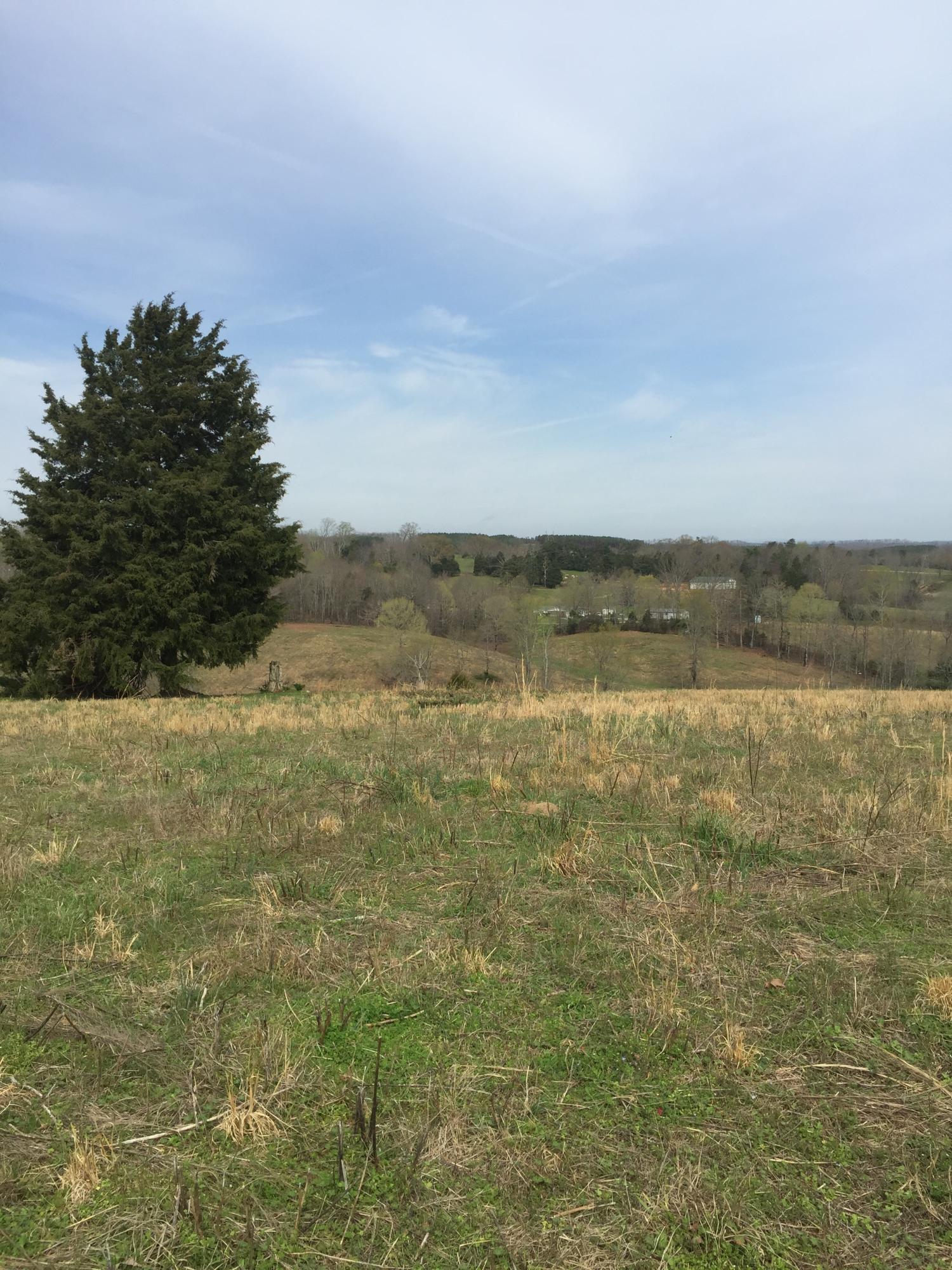 Erie Road Sweetwater, TN 37874 - Photo 10 of 29 IMG_3221