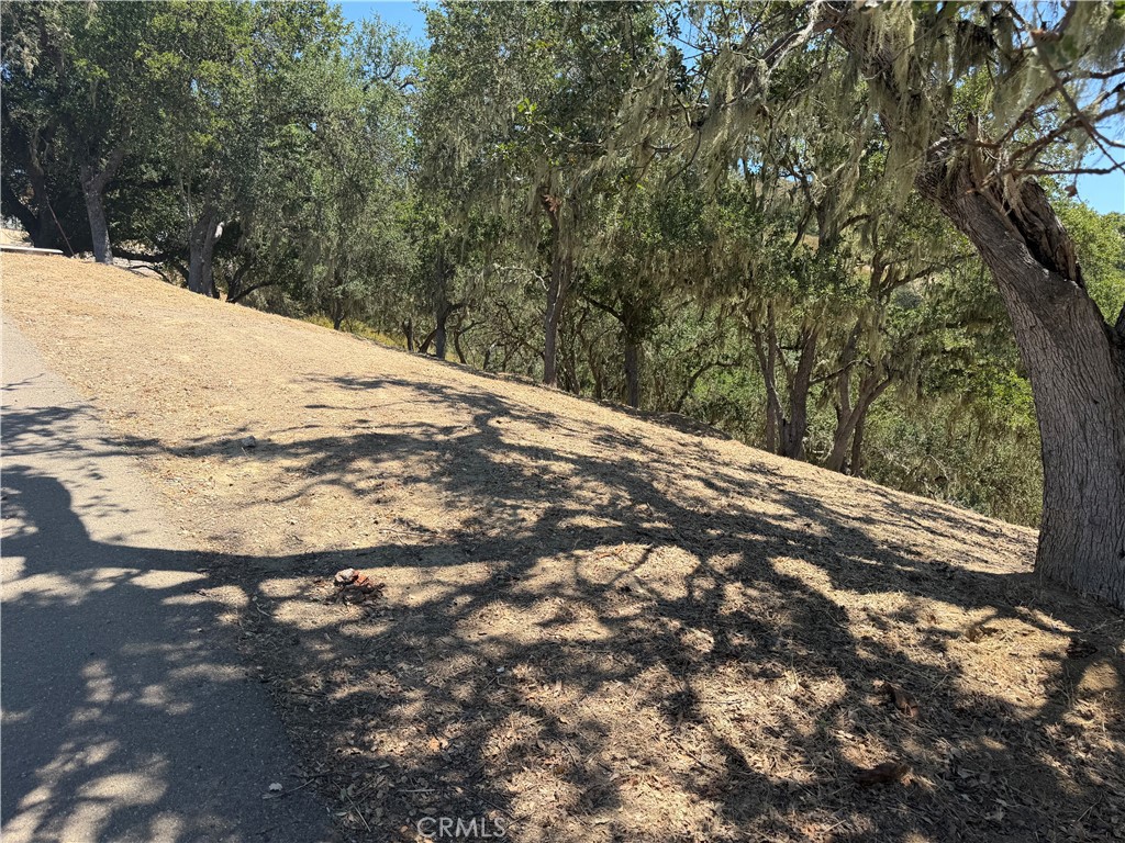 2174 Ridge Rider Road Bradley, CA 93426 - Photo 6 of 17