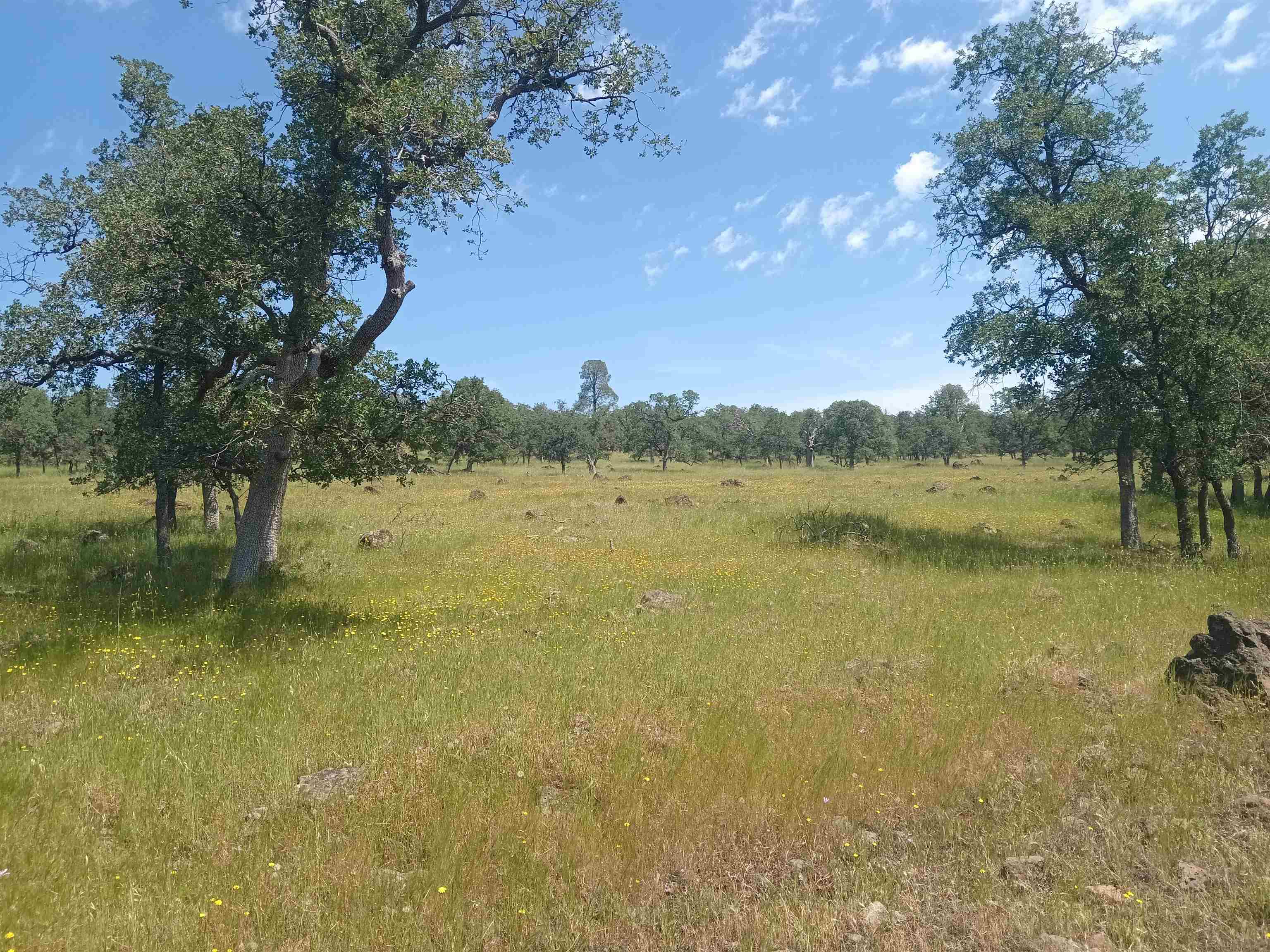 80 Wildcat Road Shingletown, CA 96007 - Photo 3 of 4