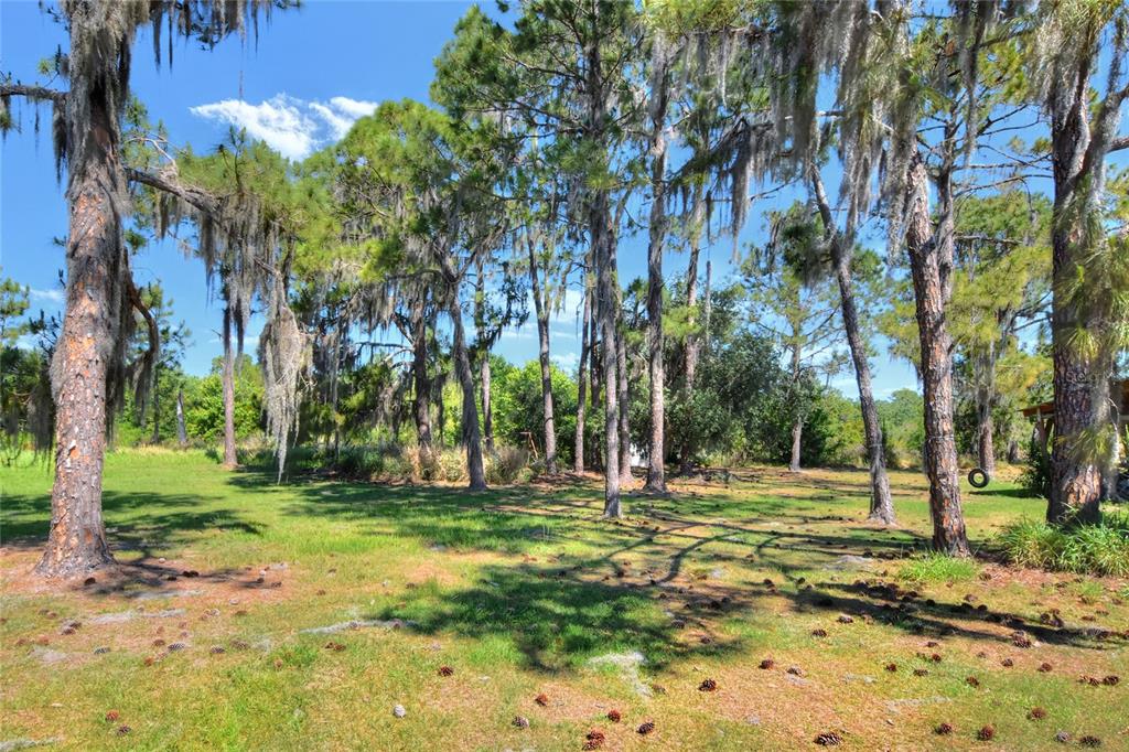 0 Lake Buffum Road West Fort Meade, FL 33841 - Photo 6 of 11