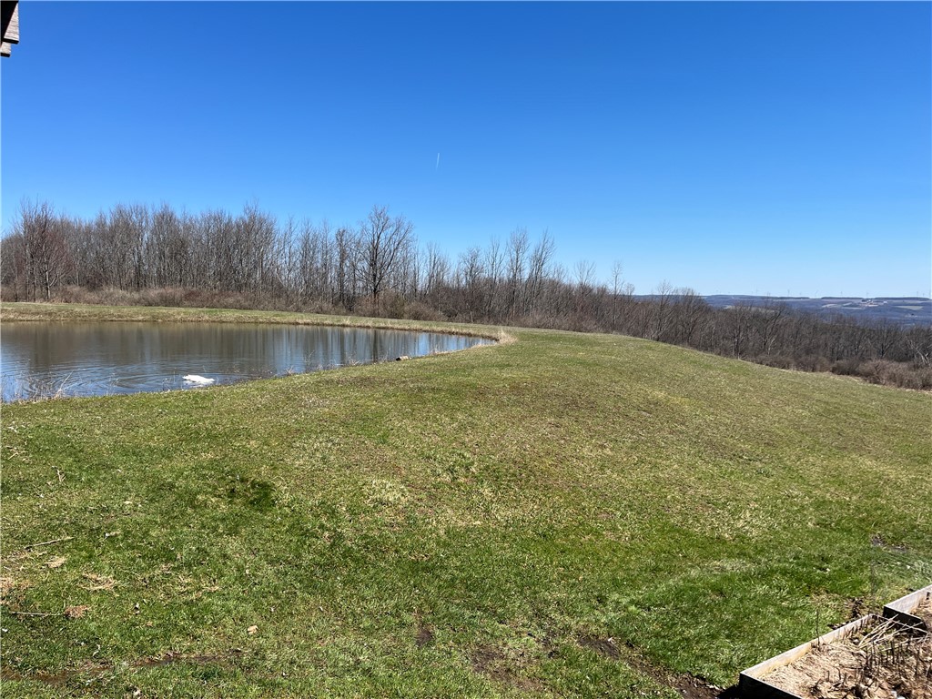 8970 Cook Road Arkport, NY 14807 - Photo 32 of 35