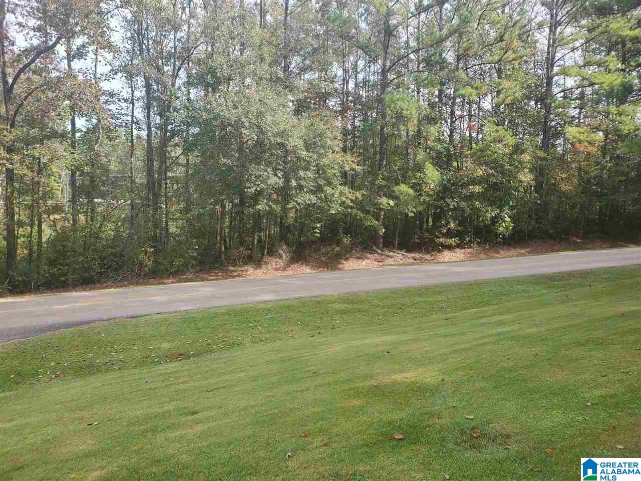 689 Highway 511 Goodwater Al Goodwater, AL 35072 - Photo 8 of 45
