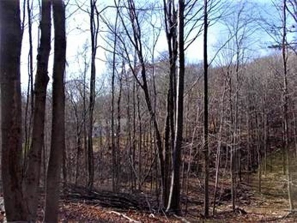 474-480 Mountain Road Wilbraham, MA 01095 - Photo 3 of 3