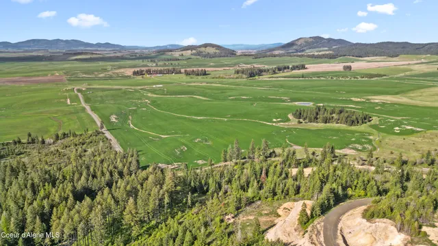 $199,999 | Lot 1 Lone Moose Drive, Plummer, ID 83851