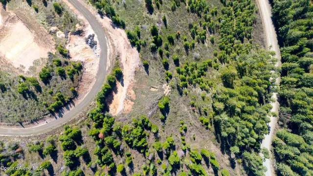 $199,999 | Lot 1 Lone Moose Drive, Plummer, ID 83851