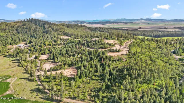 $199,999 | Lot 1 Lone Moose Drive, Plummer, ID 83851
