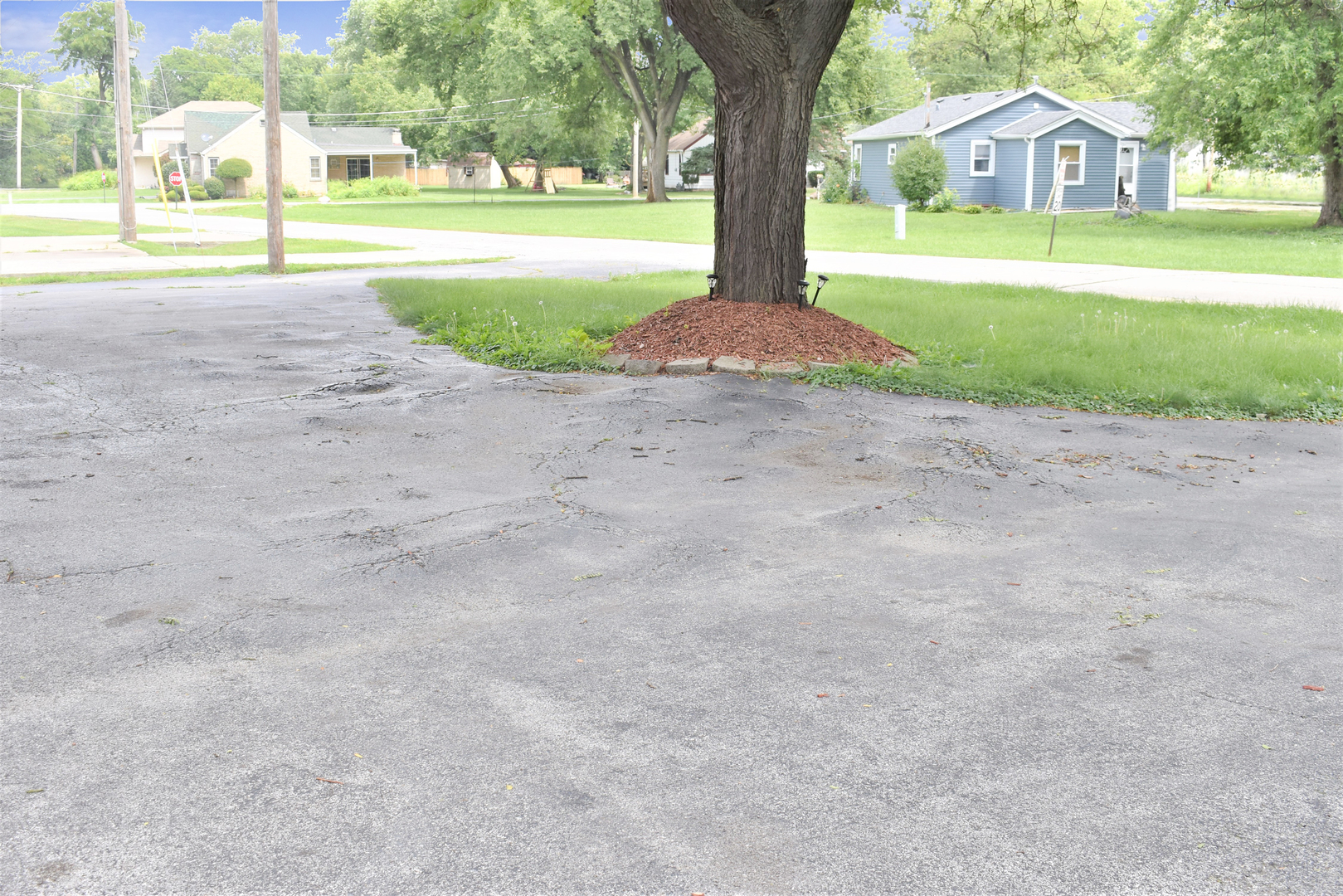 3824 Sunset Avenue Markham, IL 60428 - Photo 22 of 24 a front view of a house with a yard and trees