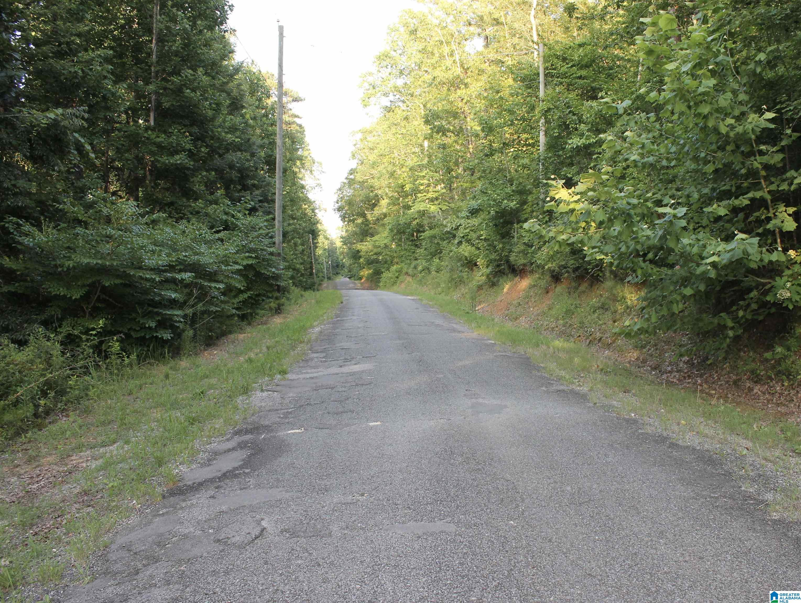 0 Waldrop Road Ashville, AL 35953 - Photo 3 of 5