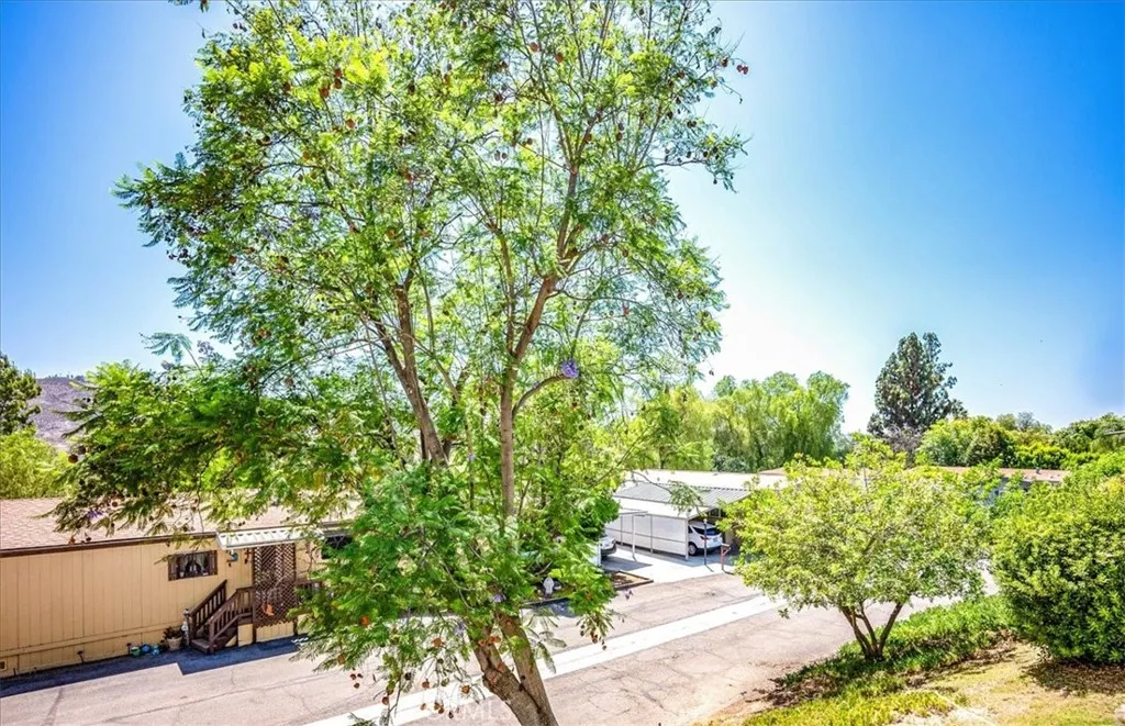 15181 Van Buren, Unit 178 Riverside, CA 92504 - Photo 30 of 52 a view of a garden with plants and large trees