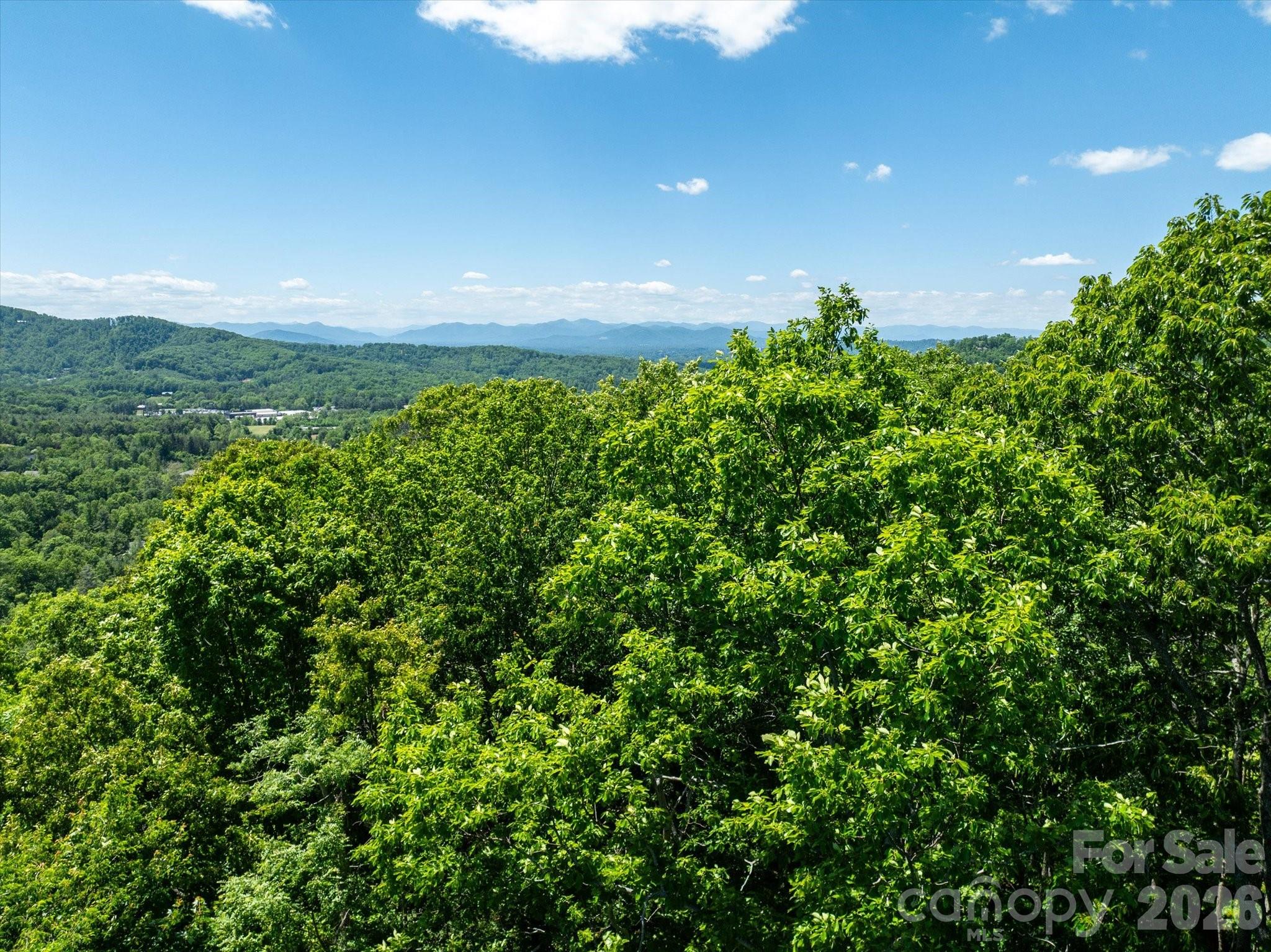99999 Winding Ridge Road Fairview, NC 28730 - Photo 4 of 15