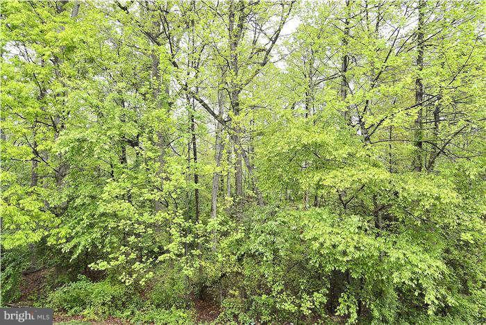 1241 Wild Hawthorn Way Reston, VA 20194 - Photo 22 of 25 Exterior (Rear)