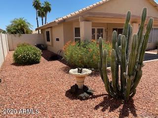 17562 North Raindance Road Surprise, AZ 85374 - Photo 9 of 11 backyard left
