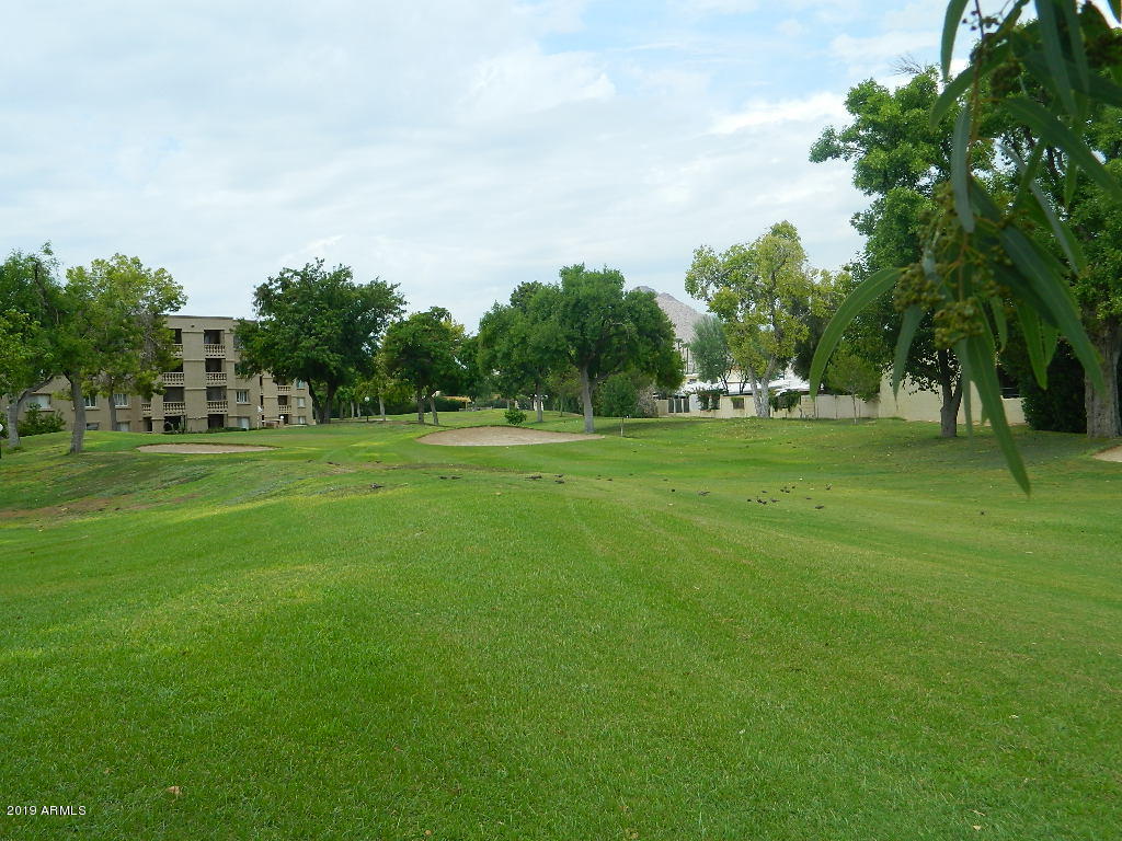 7830 East Camelback Road, Unit 212 Scottsdale, AZ 85251 - Photo 34 of 45 a view of a grassy field with trees