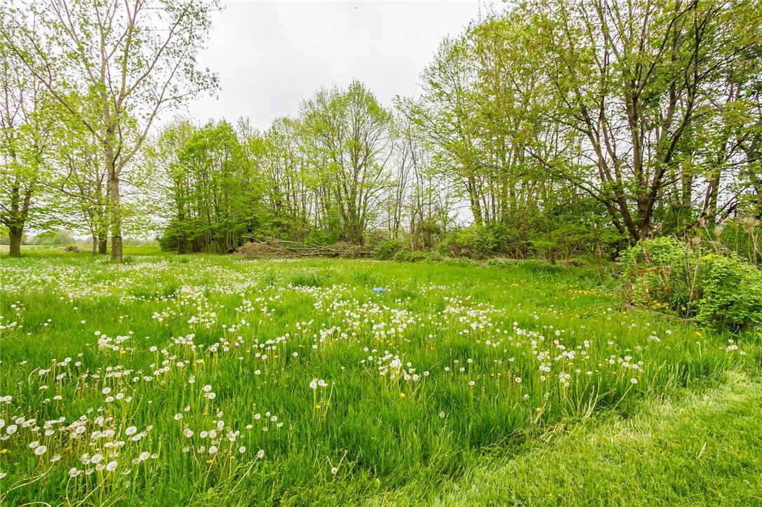 49 Silver Street Manchester, NY 14432 - Photo 22 of 28