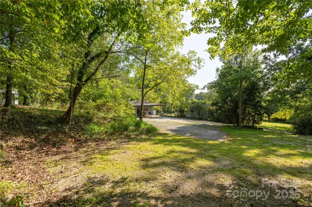 a view of yard with trees