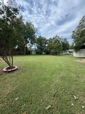 a view of a field with a tree