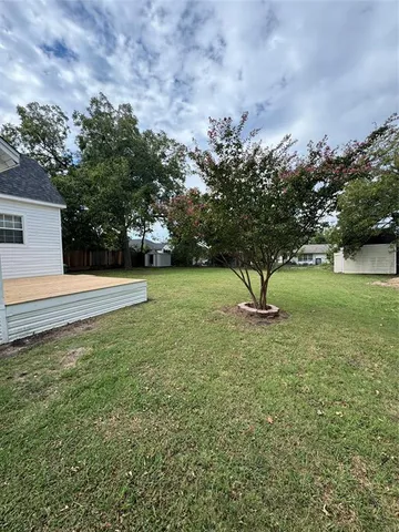 a view of a tree in a yard