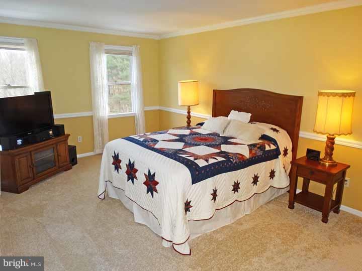 101 Bruce Road Washington Crossing, PA 18977 - Photo 21 of 25 Gallery Image 21