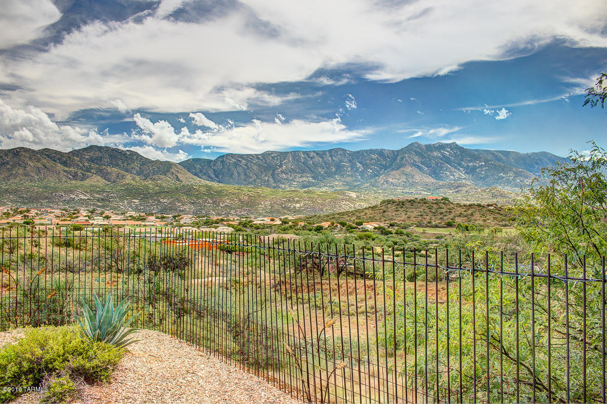 36435 South Lexi Way Tucson, AZ 85739 - Photo 48 of 50