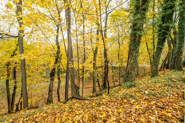 $279,900 | 1298 Colfax Avenue, Benton Harbor, MI 49022