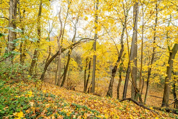 $279,900 | 1298 Colfax Avenue, Benton Harbor, MI 49022