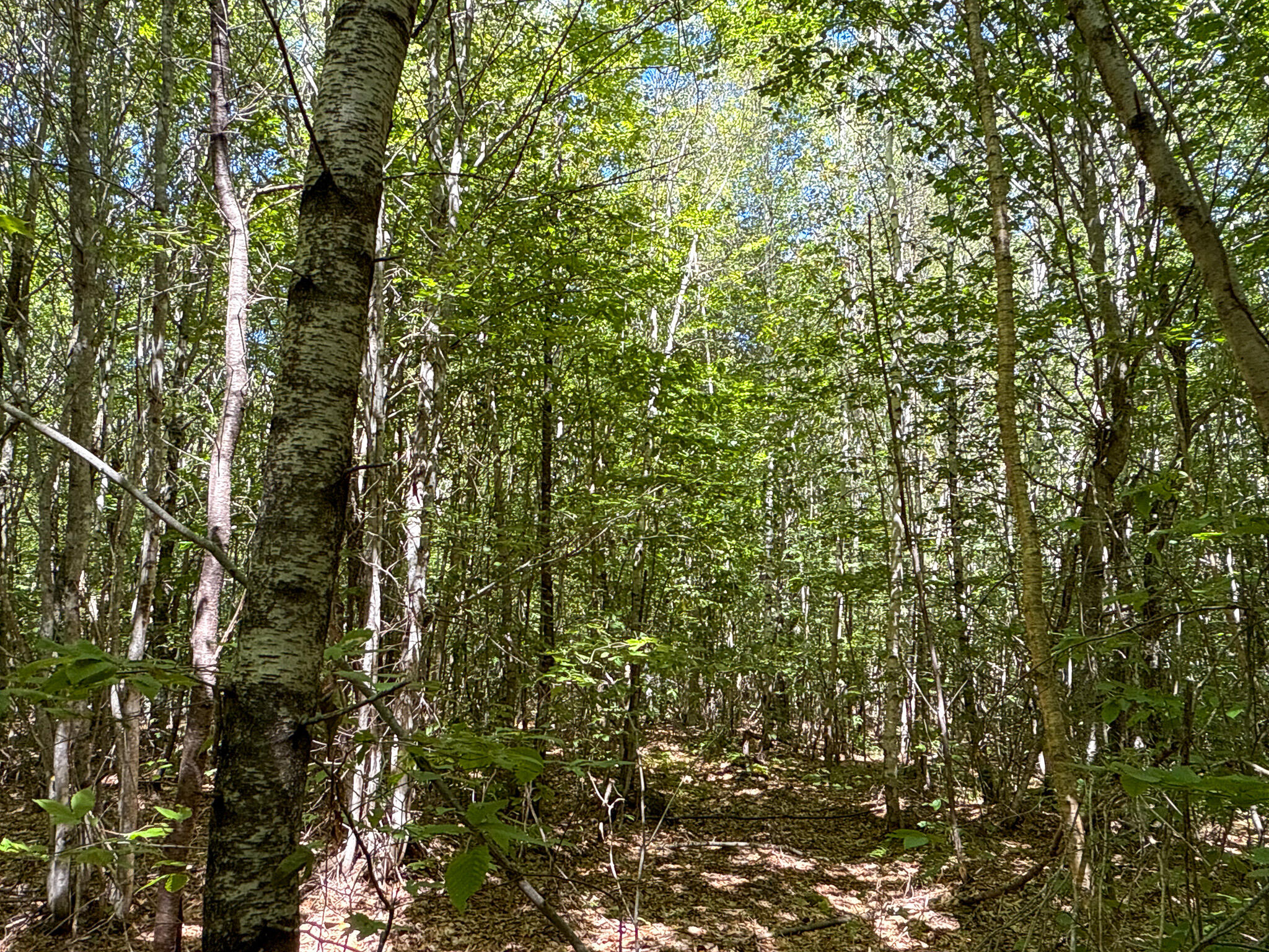 95 Branch Road Wells, ME 04090 - Photo 20 of 23 19