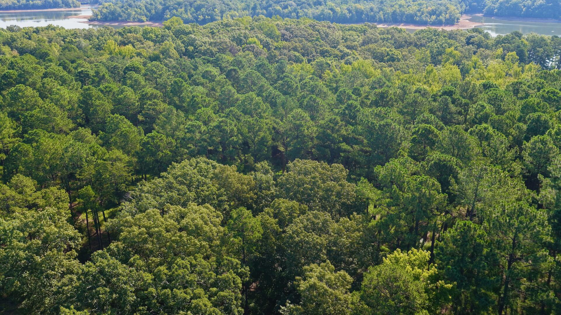 0 Lewis Mill Road Clarksville, VA 23927 - Photo 32 of 50 Clarksville - 30