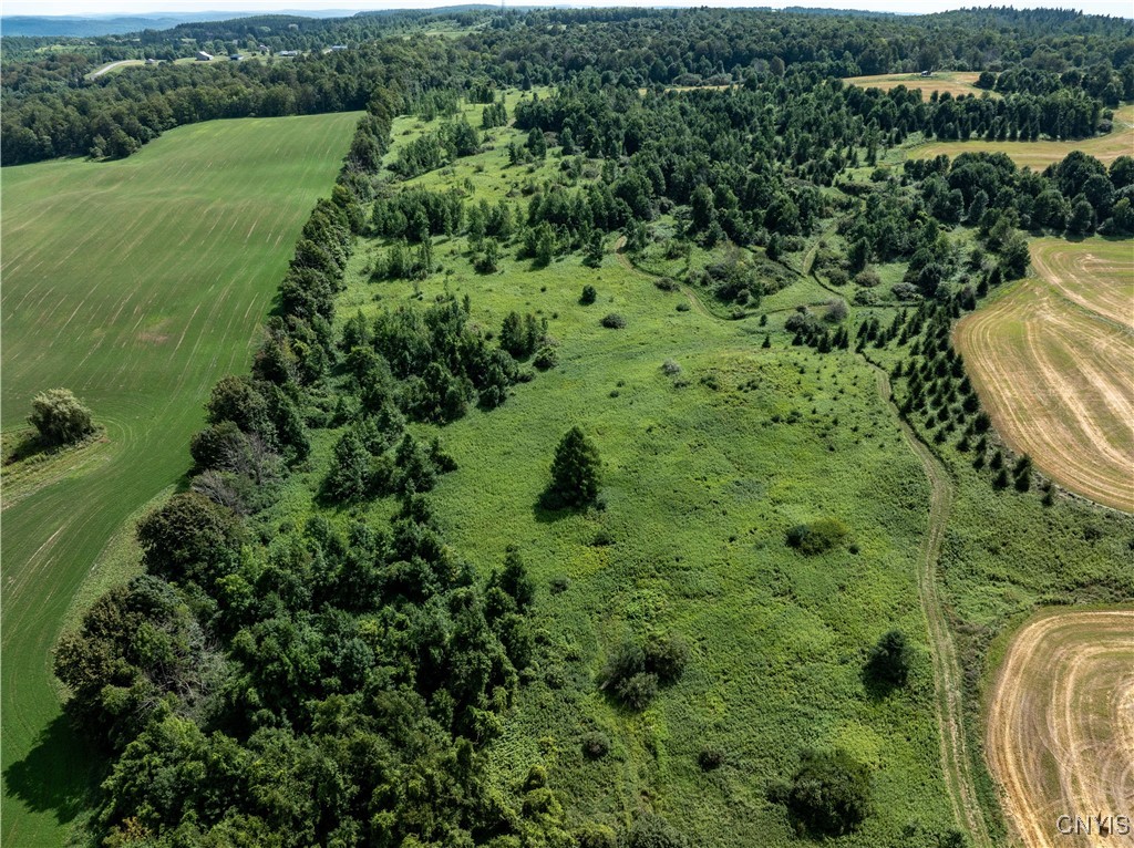 Cody Road Cazenovia, NY 13035 - Photo 4 of 8