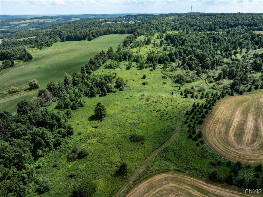 Cody Road Cazenovia, NY 13035 - Photo 5 of 8