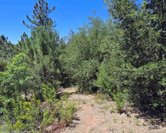 $70,000 | 0 Smokey Lane, Unit 13, Julian, CA 92036