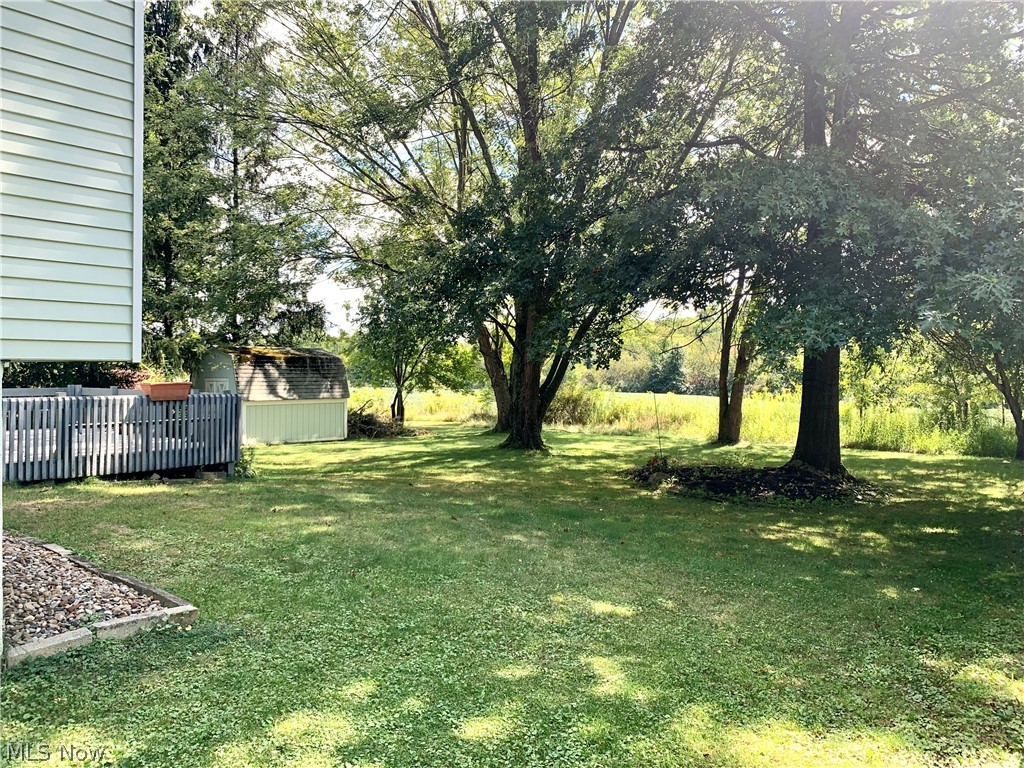 179 Johnson Road Wadsworth, OH 44281 - Photo 2 of 29 Back yard