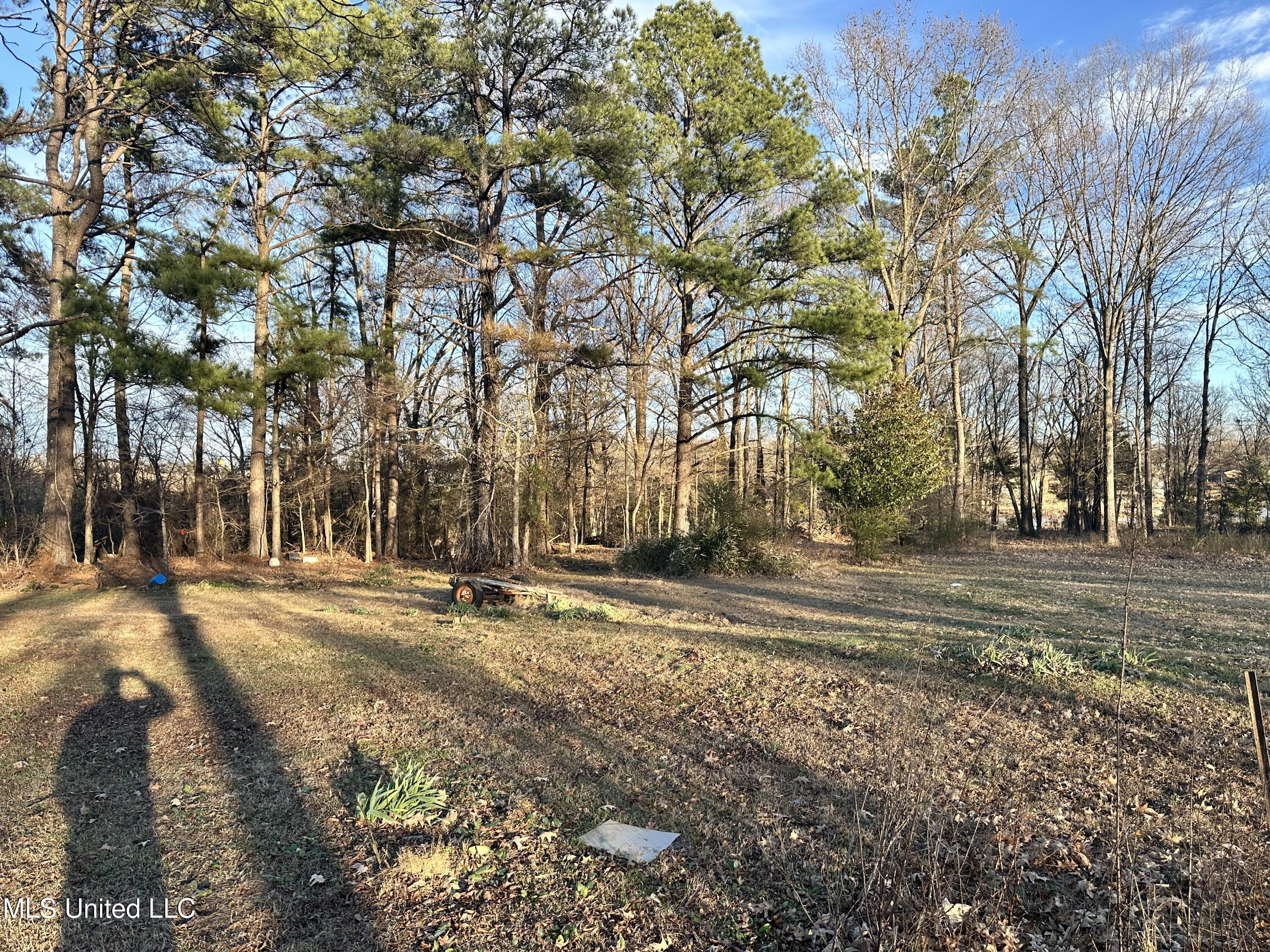 Douglas Road Hernando, MS 38632 - Photo 2 of 5 IMG_4063