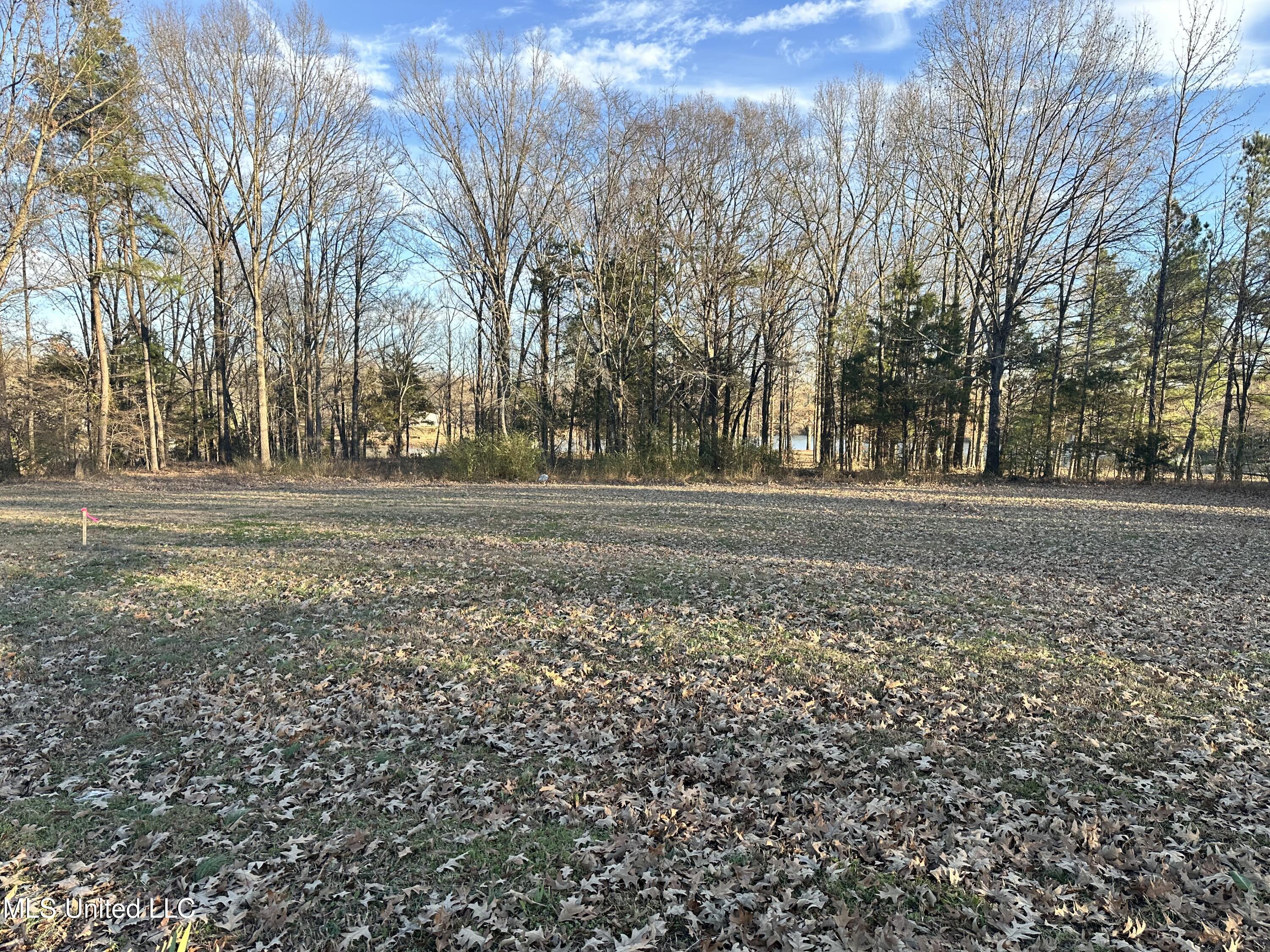 Douglas Road Hernando, MS 38632 - Photo 3 of 5 IMG_4062